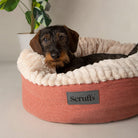 Ellen Donut Bed - Terracotta Red Dog Bed Scruffs®