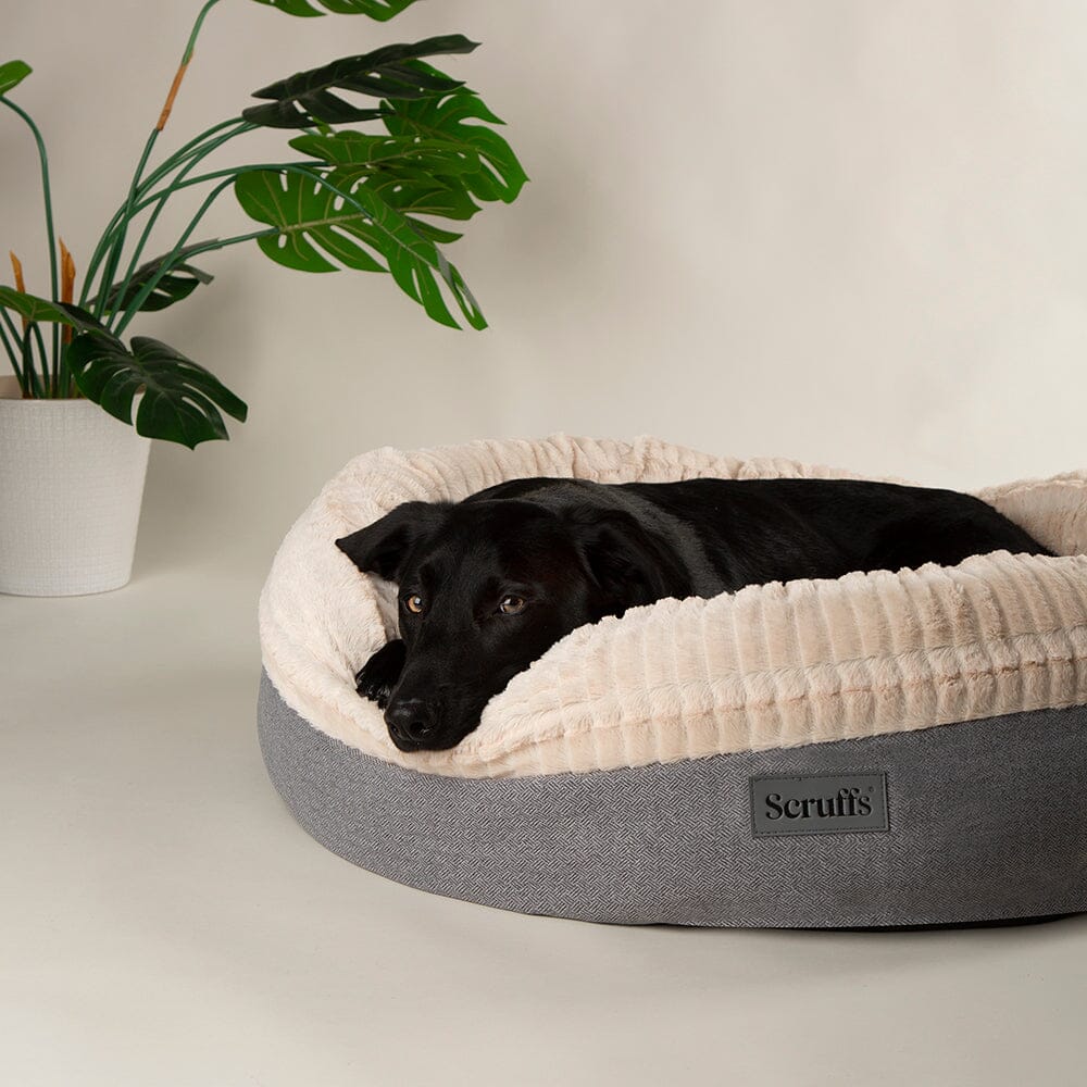 Ellen Donut Bed - Light Grey Dog Bed Scruffs®