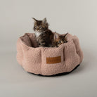 Boucle Cat Bed - Blush Pink Cat Bed Scruffs®