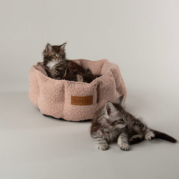 Boucle Cat Bed - Blush Pink Cat Bed Scruffs®