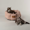 Boucle Cat Bed - Blush Pink Cat Bed Scruffs®