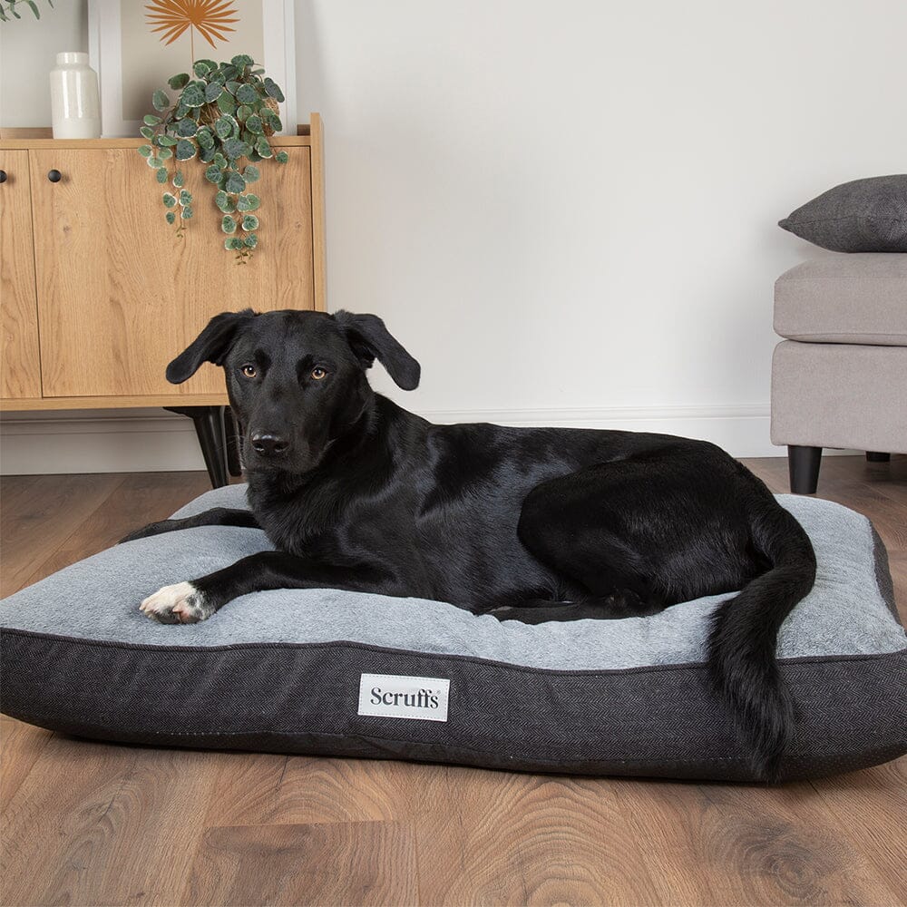 Harvard Memory Foam Mattress - Graphite Grey Dog Bed Scruffs®