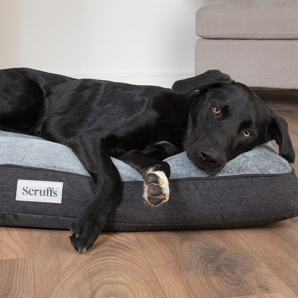Harvard Memory Foam Mattress - Graphite Grey Dog Bed Scruffs®