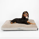 Harvard Memory Foam Mattress - Pearl Grey Dog Bed Scruffs®