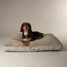 Harvard Memory Foam Mattress - Pearl Grey Dog Bed Scruffs®