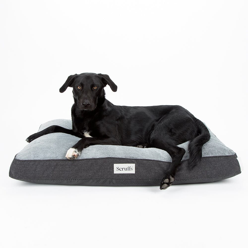 Harvard Memory Foam Mattress - Graphite Grey Dog Bed Scruffs®