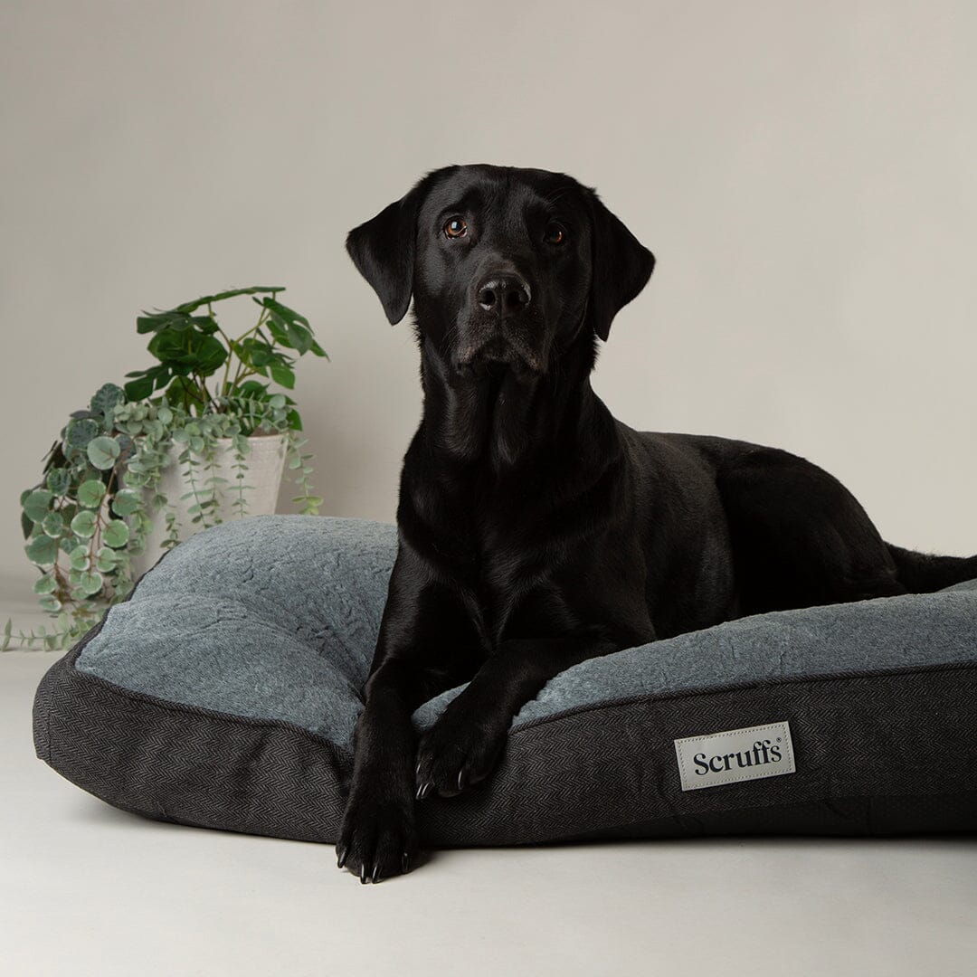 Harvard Memory Foam Mattress - Graphite Grey Dog Bed Scruffs®