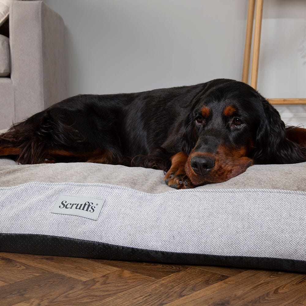 Harvard Memory Foam Mattress - Pearl Grey Dog Bed Scruffs®