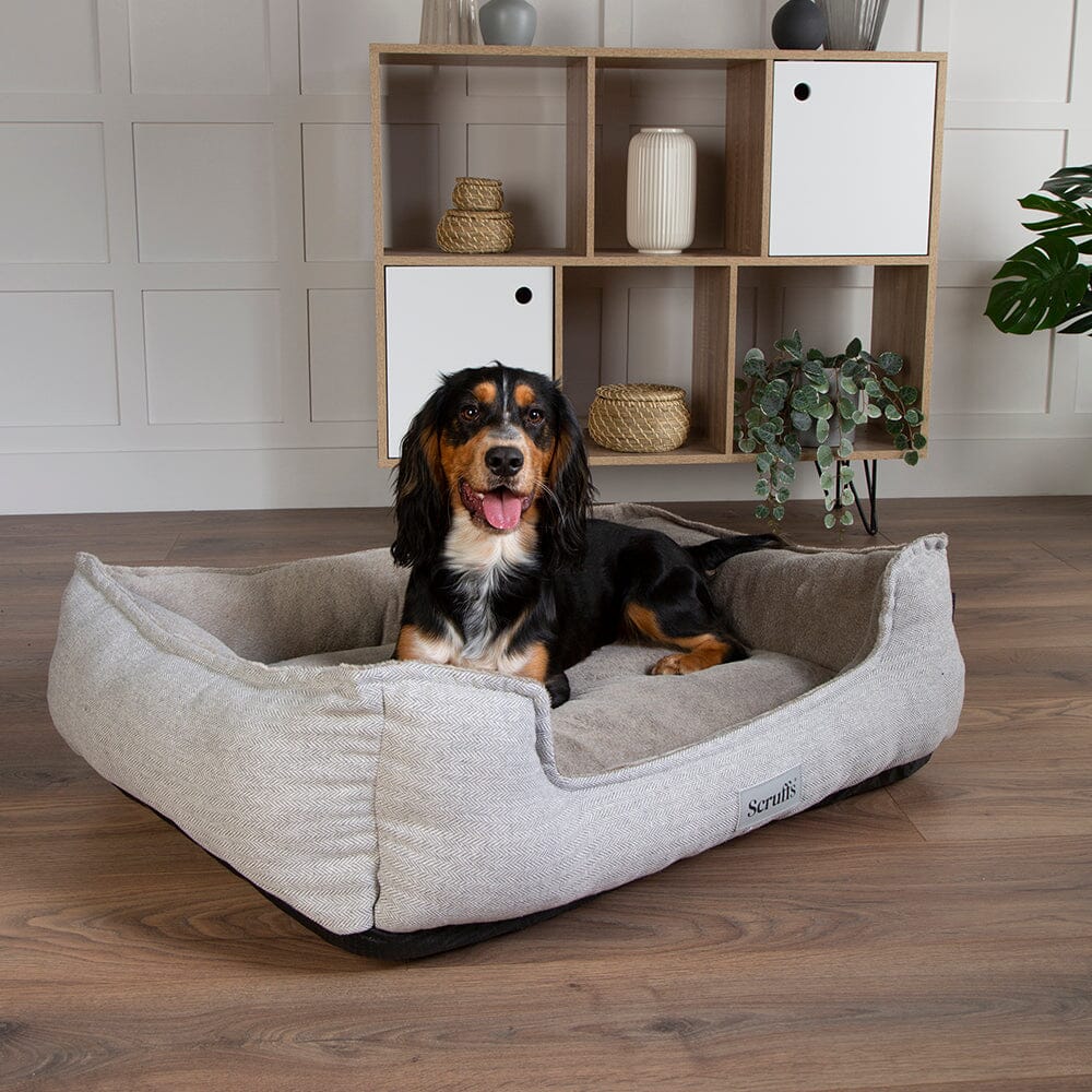Harvard Memory Foam Box Bed - Pearl Grey Dog Bed Scruffs®