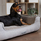 Harvard Memory Foam Box Bed - Pearl Grey Dog Bed Scruffs®