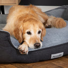 Harvard Memory Foam Box Bed - Graphite Grey Dog Bed Scruffs®