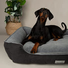 Harvard Memory Foam Box Bed - Graphite Grey Dog Bed Scruffs®