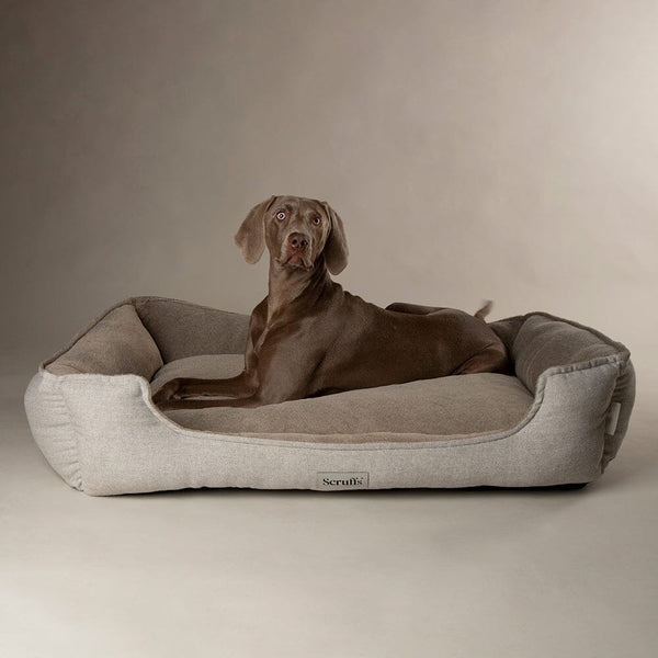Harvard Memory Foam Box Bed - Pearl Grey Dog Bed Scruffs®