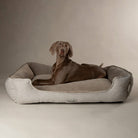 Harvard Memory Foam Box Bed - Pearl Grey Dog Bed Scruffs®