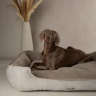 Harvard Memory Foam Box Bed - Pearl Grey Dog Bed Scruffs®