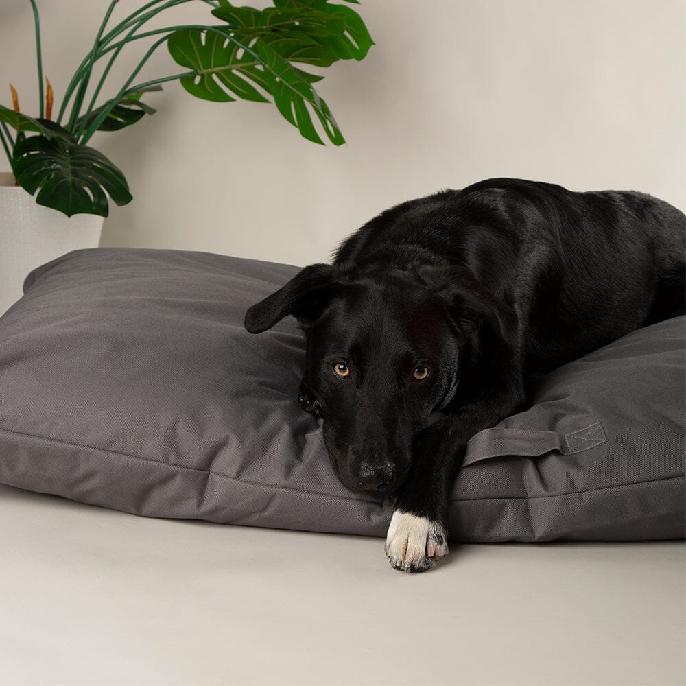Expedition Memory Foam Orthopaedic Dog Bed Pillow - Storm Grey Dog Bed Scruffs®