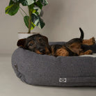 Eden Box Bed - Charcoal Grey Dog Beds Scruffs®