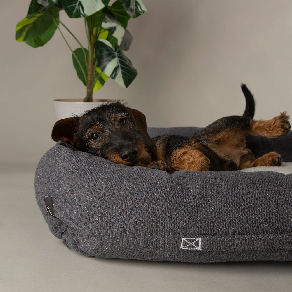 Eden Box Bed - Charcoal Grey Dog Beds Scruffs®