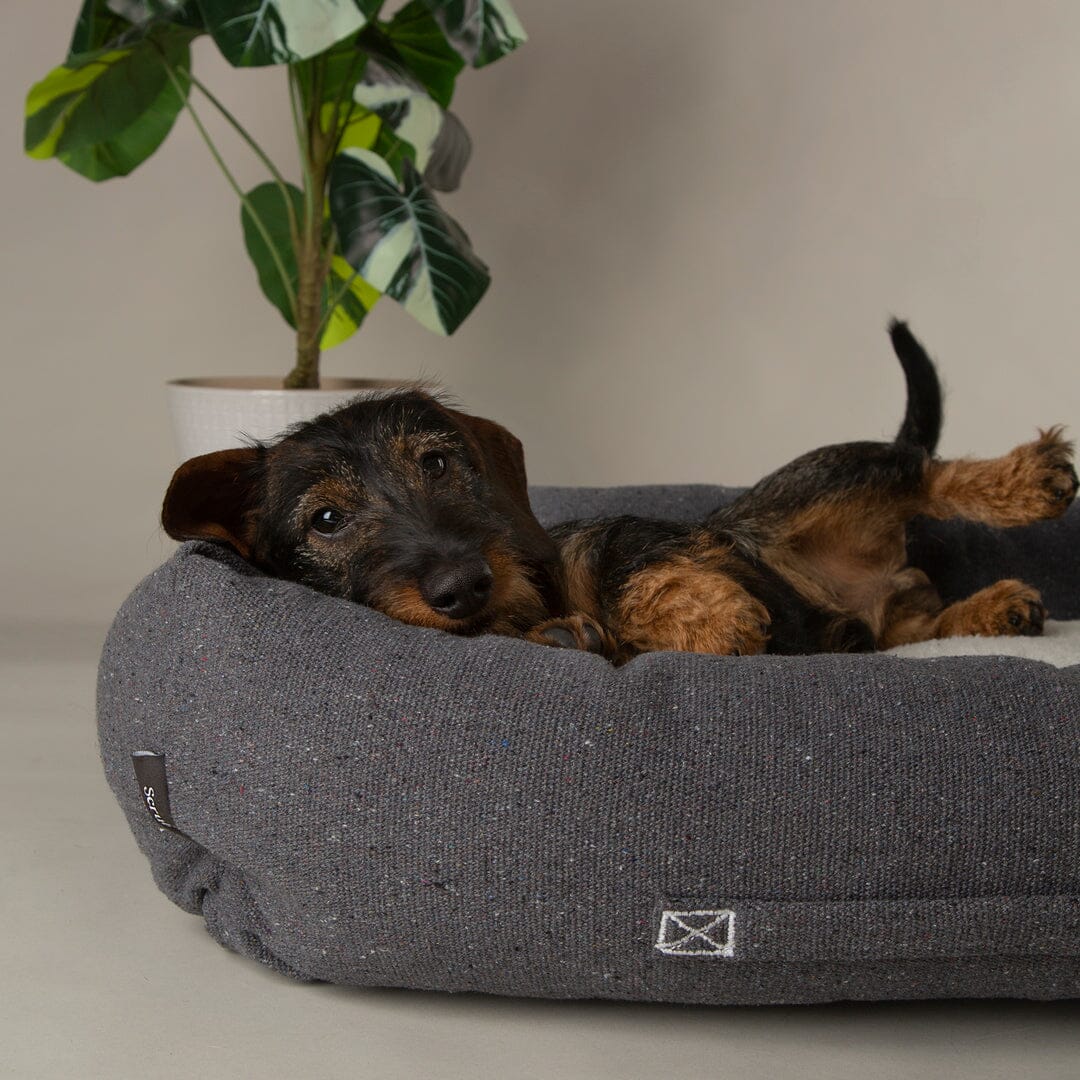 Eden 100% Recycled Box Bed - Charcoal Grey Dog Beds Scruffs®