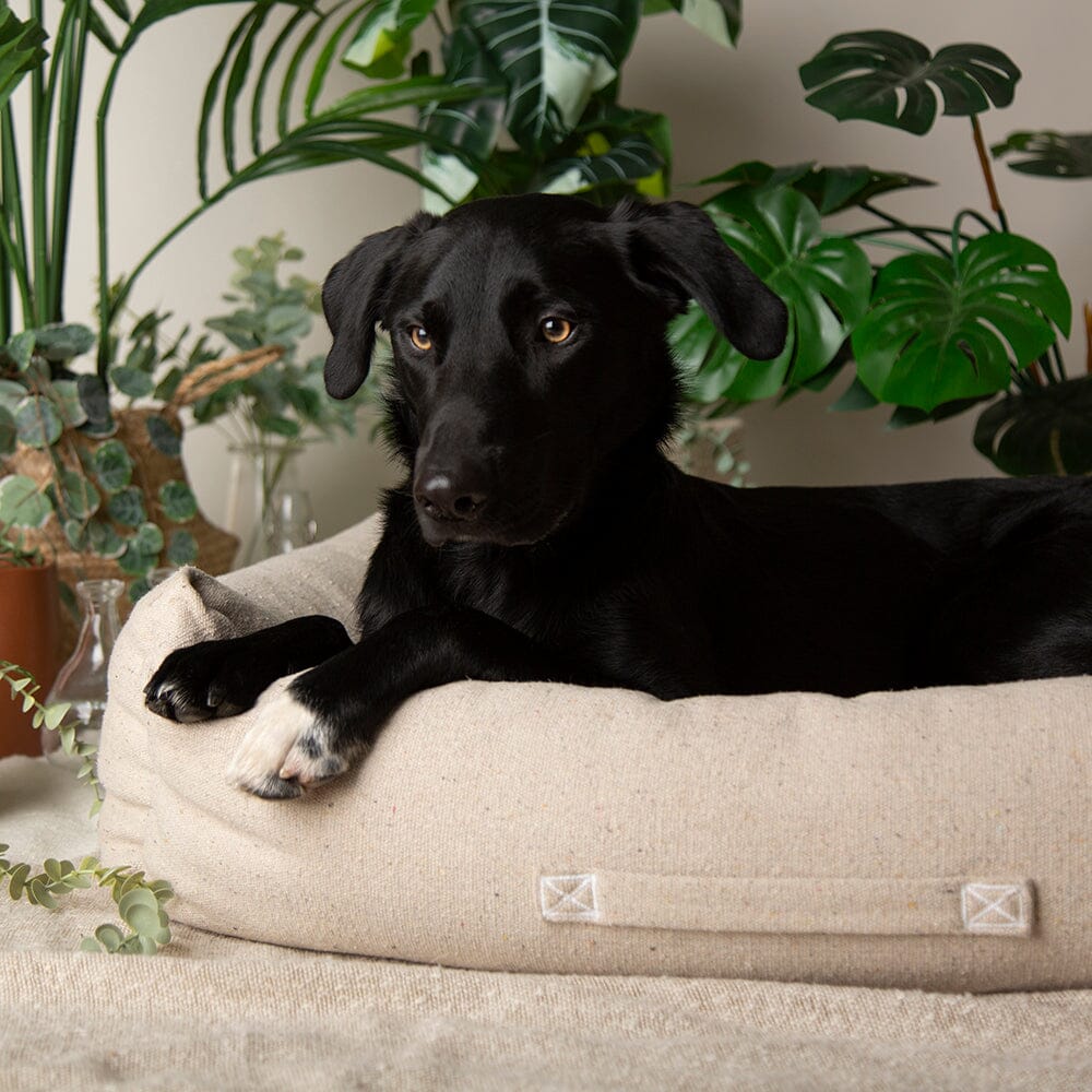 Eden Box Bed - Cream Dog Beds Scruffs®