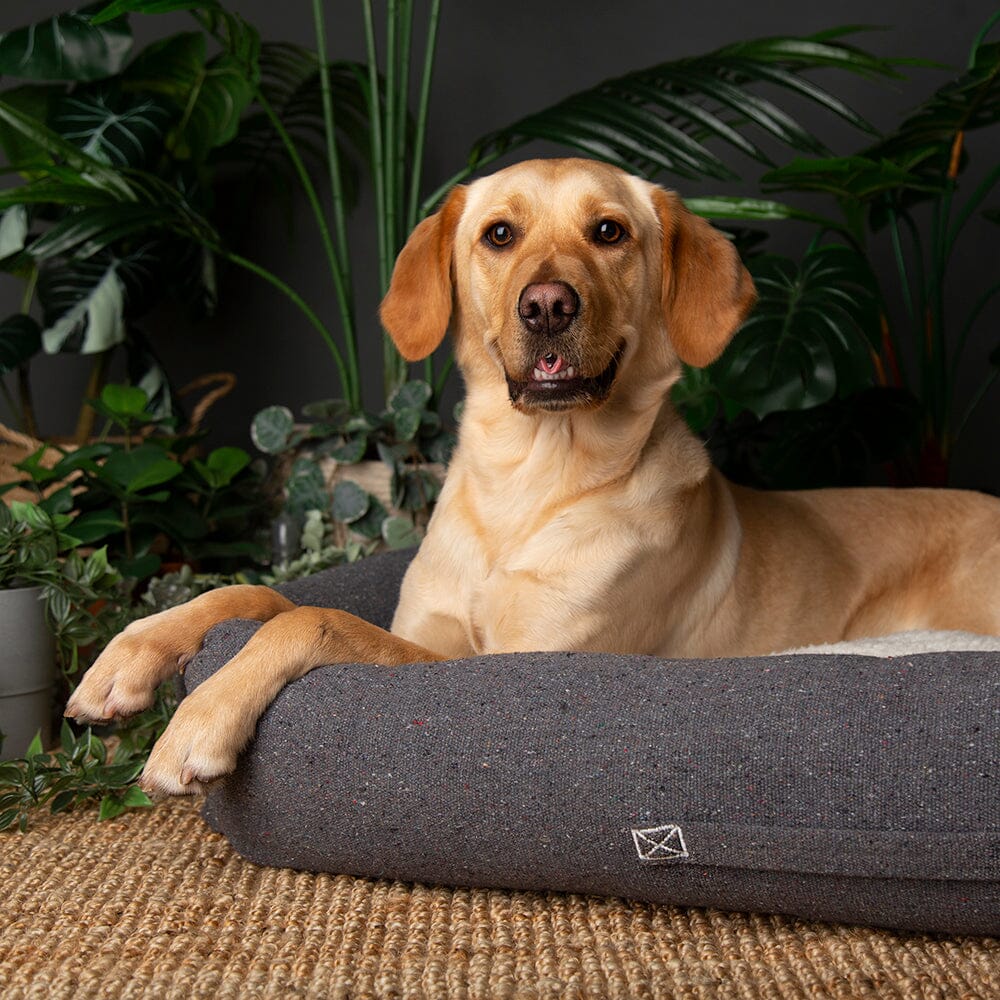 Eden Box Bed - Charcoal Grey Dog Beds Scruffs®
