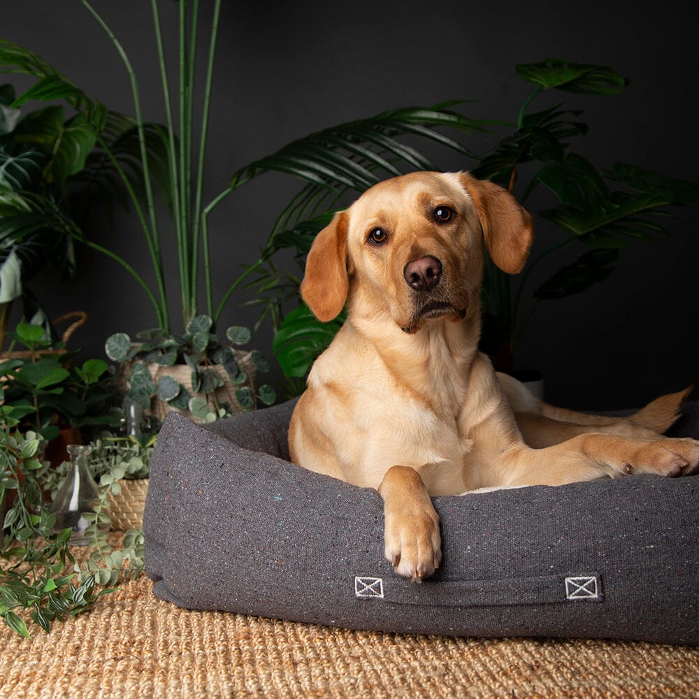 Eden Box Bed - Charcoal Grey Dog Beds Scruffs®