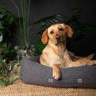 Eden Box Bed - Charcoal Grey Dog Beds Scruffs®