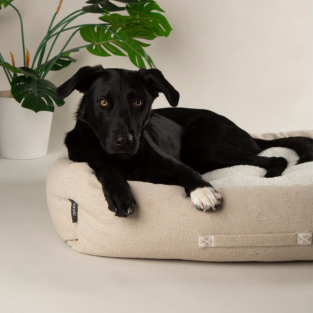 Eden Box Bed - Cream Dog Beds Scruffs®