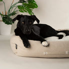 Eden Box Bed - Cream Dog Beds Scruffs®