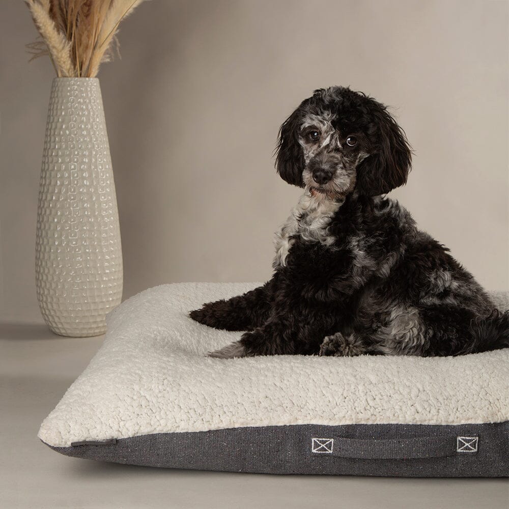 Eden Pillow Bed - Charcoal Grey Dog Beds Scruffs®