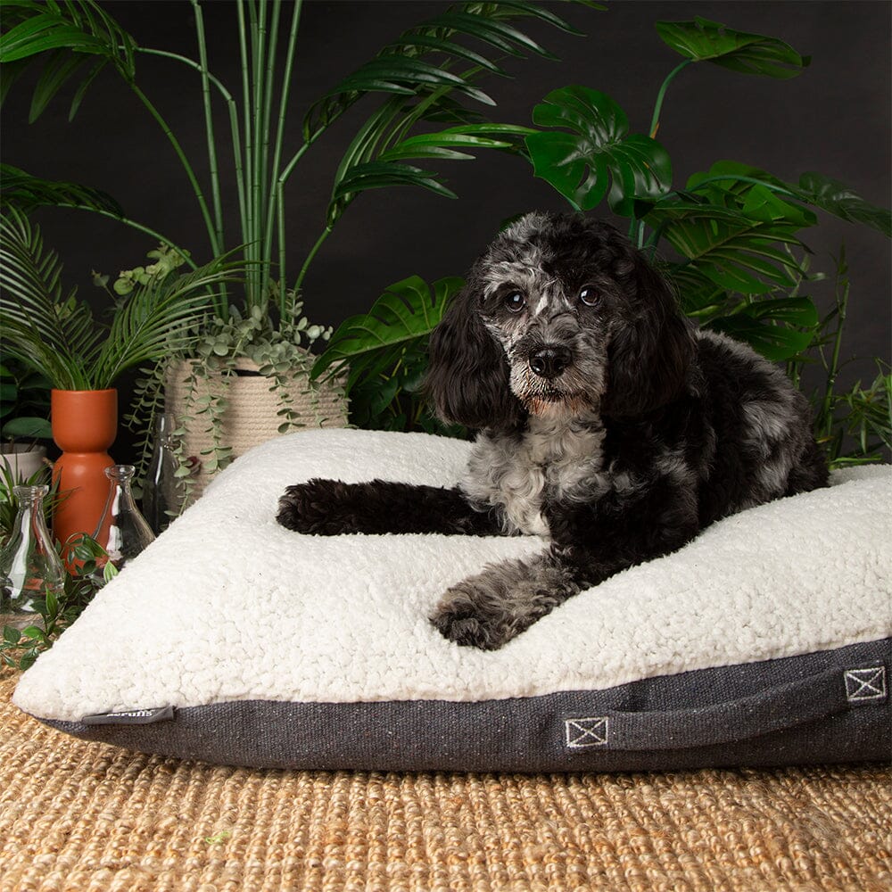Eden Pillow Bed - Charcoal Grey Dog Beds Scruffs®