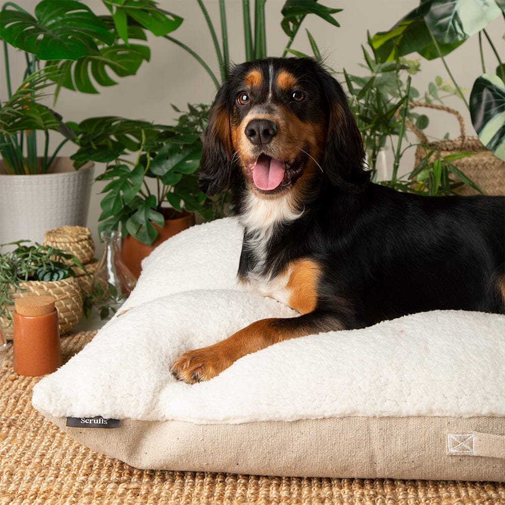 Eden Pillow Bed - Cream Dog Beds Scruffs®