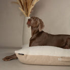 Eden Pillow Bed - Cream Dog Beds Scruffs®