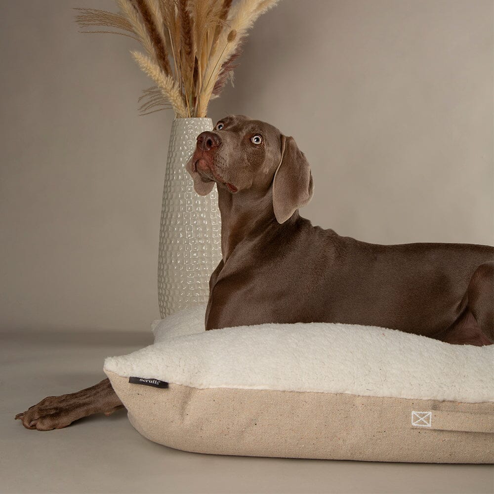 Eden Pillow Bed - Cream Dog Beds Scruffs®