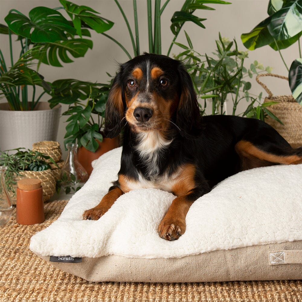 Eden Pillow Bed - Cream Dog Beds Scruffs®