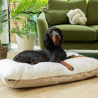 Eden Pillow Bed - Cream Dog Beds Scruffs®