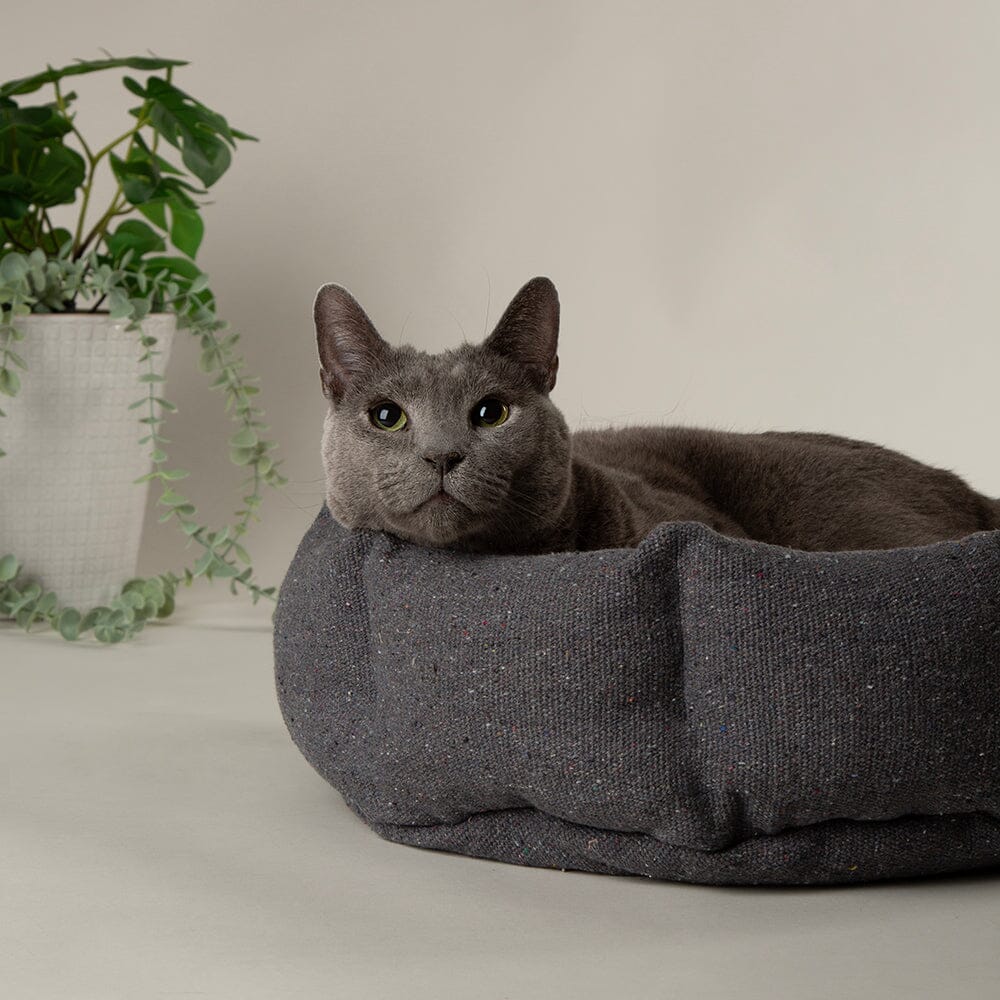 Eden Cat Bed - Charcoal Grey Cat Bed Scruffs®