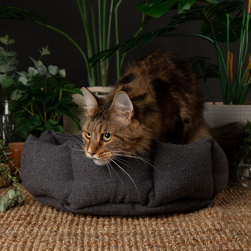 Eden Cat Bed - Charcoal Grey Cat Bed Scruffs®