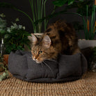 Eden Cat Bed - Charcoal Grey Cat Bed Scruffs®