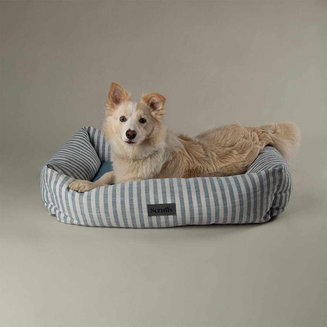 Coastal Box Bed - Blue Dog Beds Scruffs®