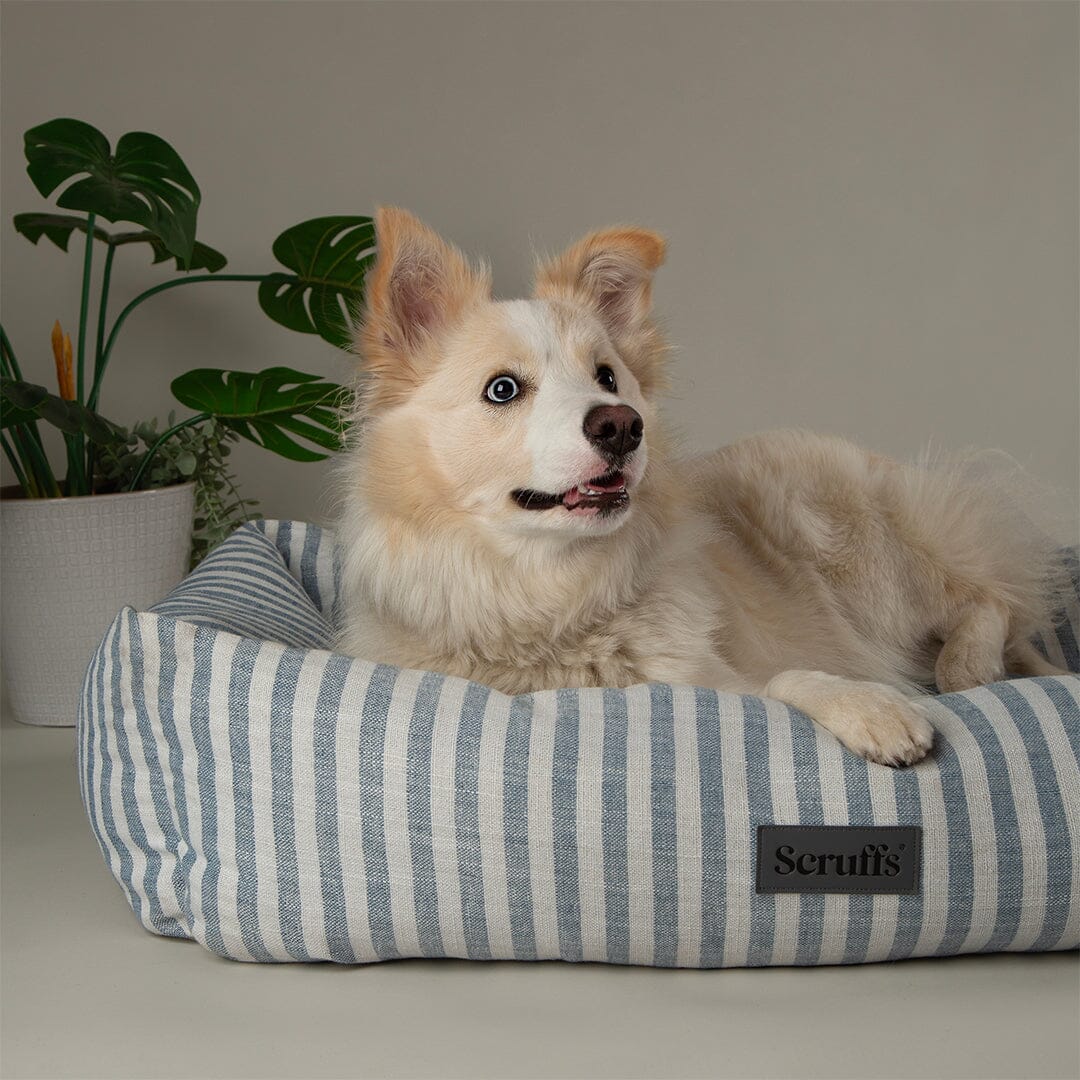 Coastal Box Bed - Green Dog Beds Scruffs®
