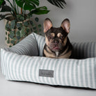 Coastal Box Bed - Green Dog Beds Scruffs®