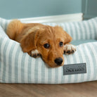 Coastal Box Bed - Green Dog Beds Scruffs®