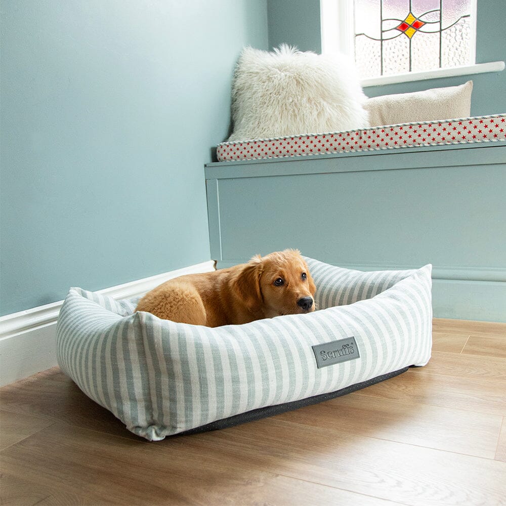 Coastal Box Bed - Green Dog Beds Scruffs®