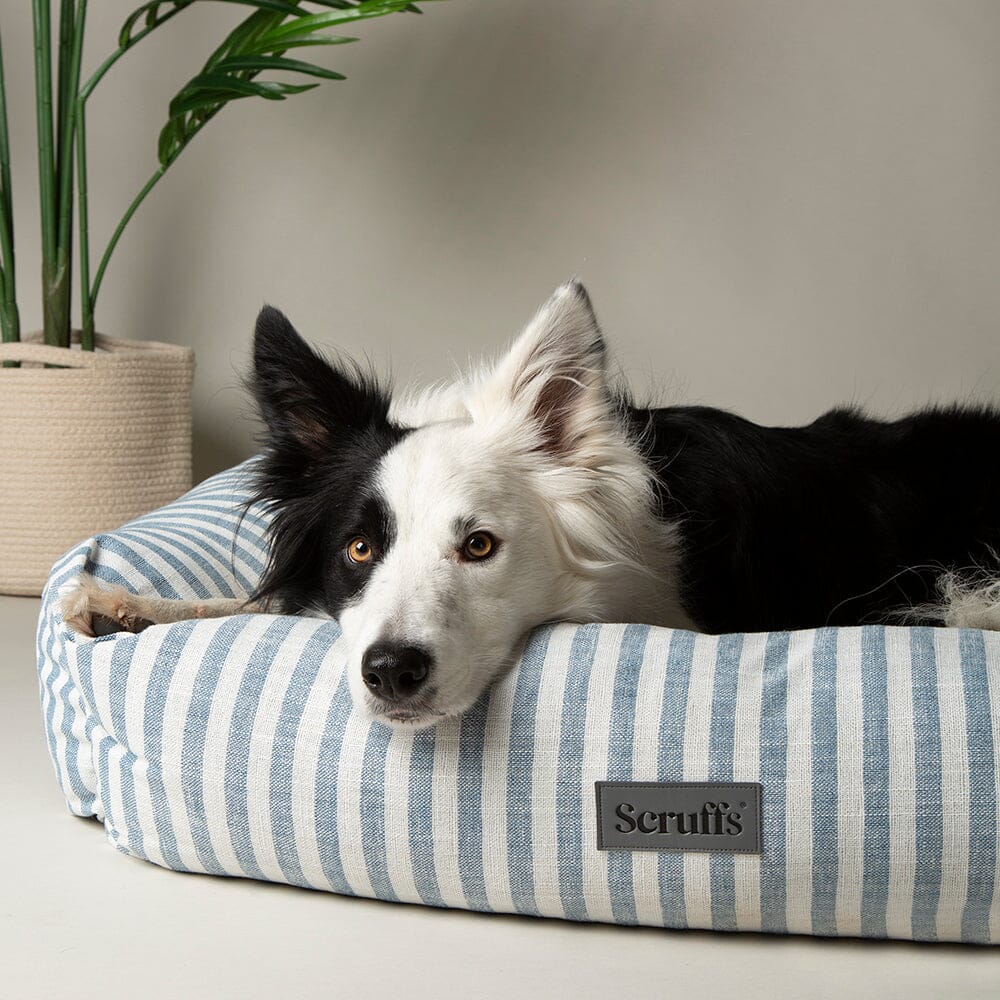 Coastal Box Bed - Blue Dog Beds Scruffs®