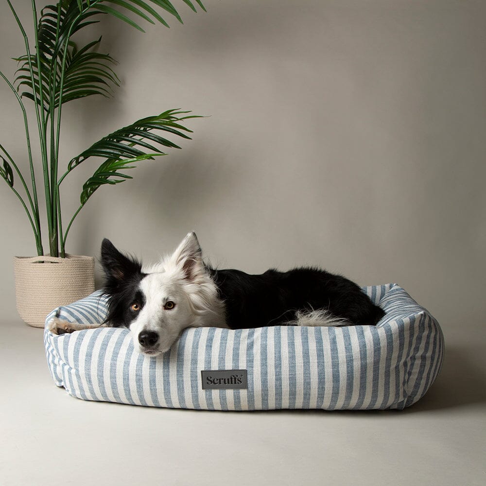 Coastal Box Bed - Blue Dog Beds Scruffs®