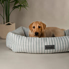 Coastal Box Bed - Green Dog Beds Scruffs®