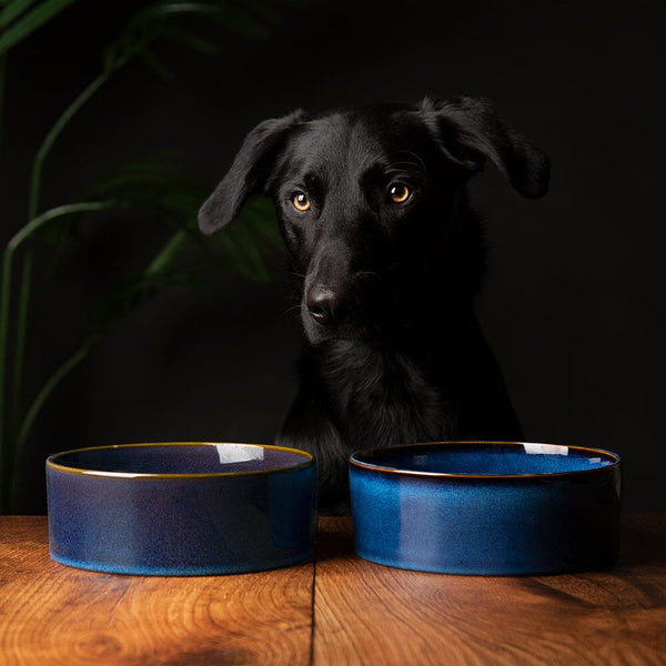 Reactive Glaze 2 Piece Dog Food & Water Bowl Set - Midnight Blue Pet Bowls, Feeders & Waterers Scruffs®