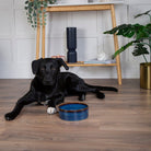 Reactive Glaze 2 Piece Dog Food & Water Bowl Set - Midnight Blue Pet Bowls, Feeders & Waterers Scruffs®
