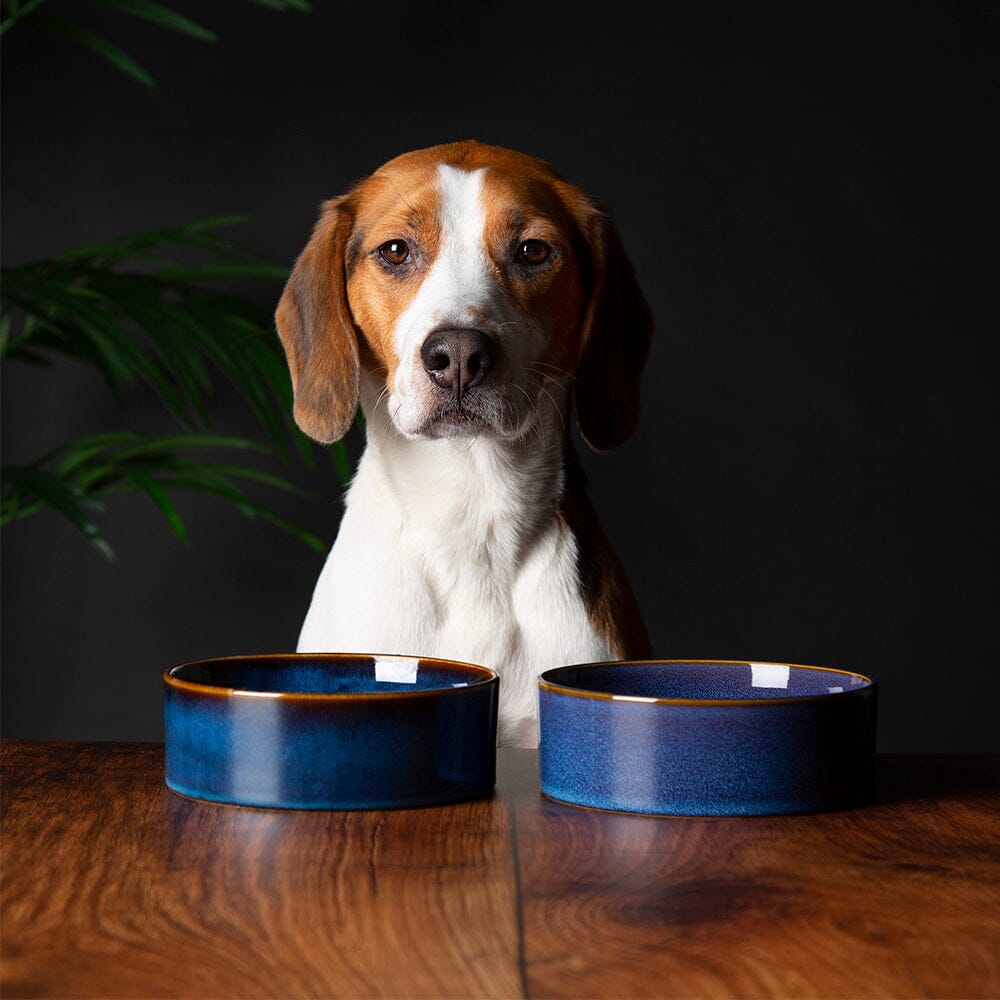 Reactive Glaze 2 Piece Dog Food & Water Bowl Set - Midnight Blue Pet Bowls, Feeders & Waterers Scruffs® 15 x 15 x 5cm | 0.5L